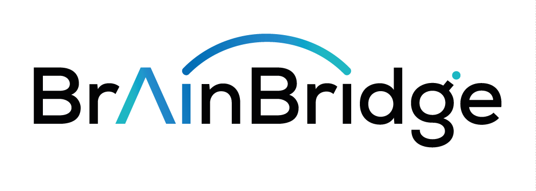 BrainBridge logo Basic